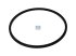 DT Spare Parts - Seal ring, black, d: 146 mm, D: 157.4 mm, H: 5 mm - 5.41126 - 10 Pack