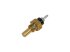 DT Spare Parts - Temperature sensor, M14 x 1,5, SW: 19 - 4.66945