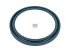 DT Spare Parts - Oil seal, d: 58 mm, D: 72 mm, H1: 5.5 mm, H2: 7 mm - 6.54055
