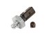 DT Spare Parts - Oil pressure switch, M10 x 1, 0.7 bar - 11.80605