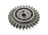 DT Spare Parts - Gear, camshaft - 2.10926