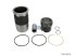 DT Spare Parts - Piston with liner, D: 102 mm - 6.91162