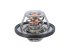 DT Spare Parts - Thermostat, 89 C - 12.18025
