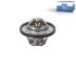 DT Spare Parts - Thermostat, 89 C - 12.18025