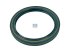 DT Spare Parts - Oil seal, d: 80 mm, D: 100 mm, H: 10 mm - 6.54061