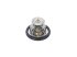 DT Spare Parts - Thermostat, with gaskets, 88 C - 13.42075