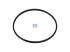 DT Spare Parts - Seal ring, cylinder liner, d: 149 mm, S: 4.8 mm, H: 7 mm - 4.20818
