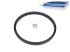 DT Spare Parts - ABS ring, d: 194 mm, D: 213 mm, H: 15 mm, 80 teeth - 10.10579
