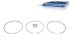 DT Spare Parts - Piston ring kit, D: 125 mm - 3.90227
