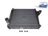 DT Spare Parts - Intercooler, L: 895 mm, W: 805 mm, T: 68 mm - 6.35422