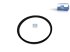 DT Spare Parts - ABS ring - 10.20584