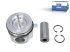 DT Spare Parts - Piston, complete with rings - 7.54677