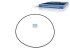 DT Spare Parts - O-ring, d: 200 mm, S: 3 mm - 4.20028 - 2 Pack