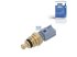 DT Spare Parts - Temperature sensor, coolant - 13.43128