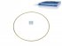 DT Spare Parts - Shim, d: 148.1 mm, D: 153.7 mm, S: 0.5 mm - 1.10605 - 10 Pack