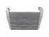 DT Spare Parts - Intercooler, L: 840 mm, W: 570 mm, T: 62 mm - 1.11252