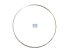 DT Spare Parts - Shim, cylinder liner, d: 147 mm, D: 153.5 mm, S: 0.5 mm - 4.20290 - 2 Pack