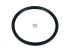 DT Spare Parts - Oil seal, d: 160 mm, D: 180 mm, H: 10 mm - 4.20400 - 10 Pack