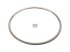 DT Spare Parts - Seal ring, exhaust manifold - 5.41160 - 2 Pack