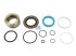 DT Spare Parts - Repair kit, cabin tilt cylinder - 6.96020