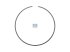 DT Spare Parts - Lock ring, D: 250 mm, S: 3 mm - 1.17330