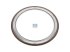 DT Spare Parts - Oil seal, d: 142.2 mm, D: 175.5 mm, H: 11.4 mm - 10.30470