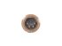 DT Spare Parts - Sensor, M18 x 1,5, SW: 27, L: 70 mm, 4 poles - 7.25520