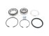 DT Spare Parts - Repair kit, wheel hub - 10.10440