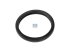 DT Spare Parts - Seal ring, thermostat, d: 45 mm, D: 59 mm, S: 7 mm - 13.42090