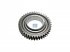 DT Spare Parts - Gear, 2nd gear - 1.14772