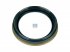 DT Spare Parts - Seal ring, d: 55 mm, D1: 72 mm, D2: 76 mm, H1: 9.5 mm, H2: 12.5 mm - 1.16285 - 10 Pack