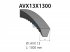 DT Spare Parts - V-belt, L: 1300 mm, W: 13 mm, AVX13X1300 - 1.21204