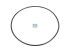 DT Spare Parts - O-ring, d: 148 mm, S: 4 mm - 1.27408 - 6 Pack