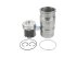DT Spare Parts - Piston with liner, D: 127 mm - 1.33113