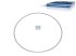 DT Spare Parts - Shim, d: 141 mm, D: 146.5 mm, S: 0.2 mm - 2.10131 - 6 Pack