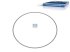DT Spare Parts - Shim, d: 151.3 mm, D: 157.3 mm, S: 0.3 mm - 2.10136 - 6 Pack