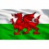 Sealey Superline PRO Rollcab 7 Drawer & Wales Graphics Pack