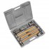 Sealey Drop-Forged Panel Beating Set with Hickory Shafts 7pc