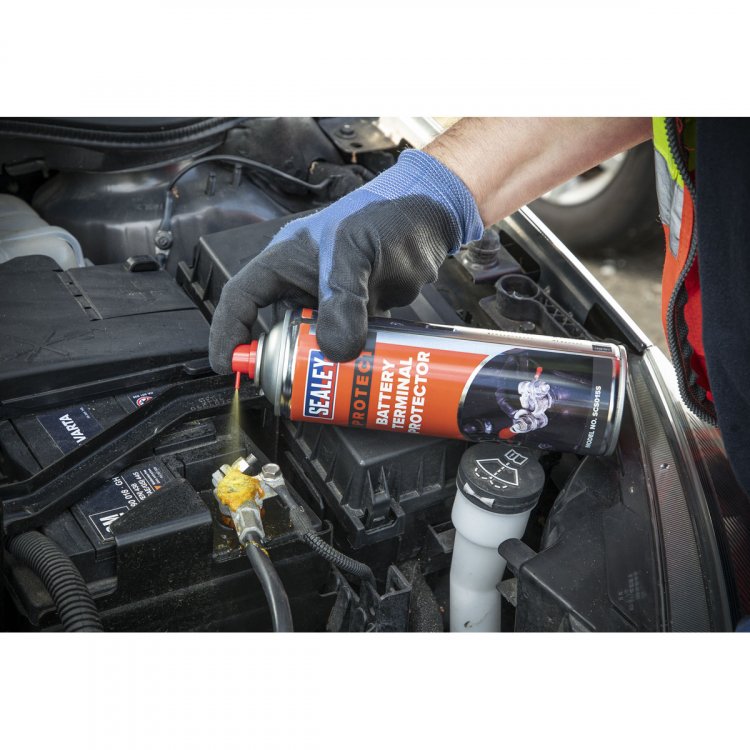 Battery terminal protector discount
